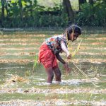FARMING AND CLIMATE CHANGE