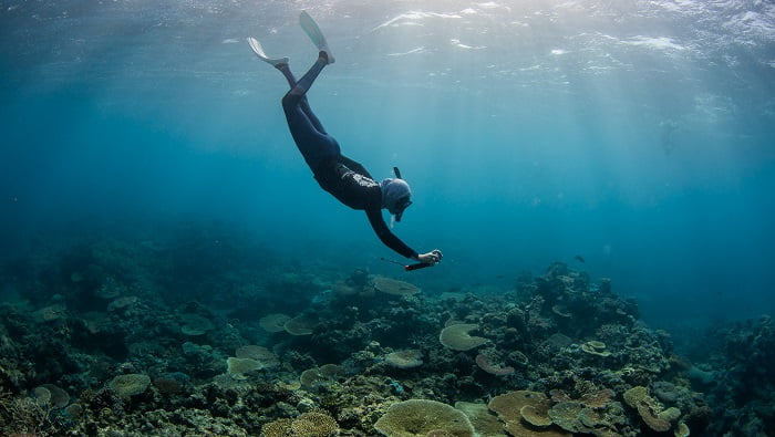 Snorkeller surveys reef as part of third Great Reef Census - Image Nicole McLachlan for Citizens of the GBR